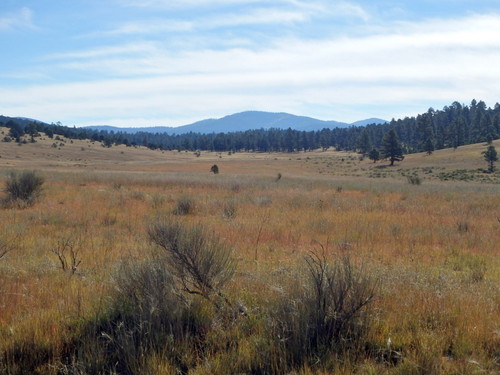 GDMBR: Looking West at the Tularosa or San Francisco Mountains.